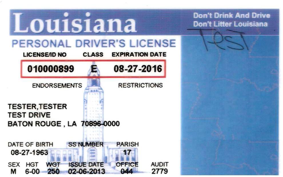 audit number on drivers license