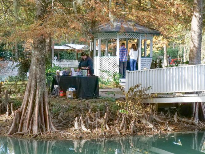 St. Francisville Food and Wine Festival visitors dance, dine, during