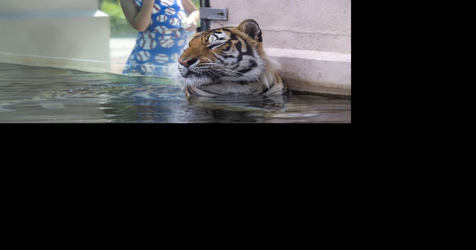 Photos: Mike keeps cool on a hot Monday in Baton Rouge