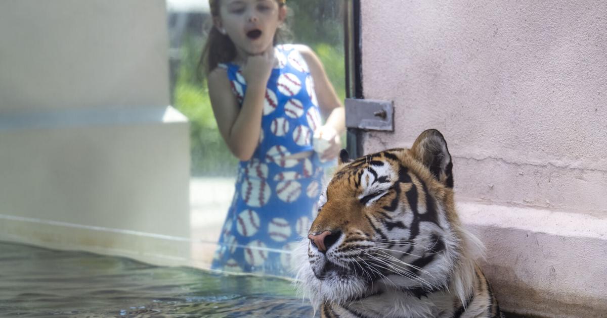 Photos: Mike keeps cool on a hot Monday in Baton Rouge