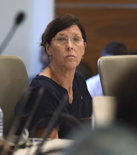 BR.metrocouncil.072618 HS 011.JPG