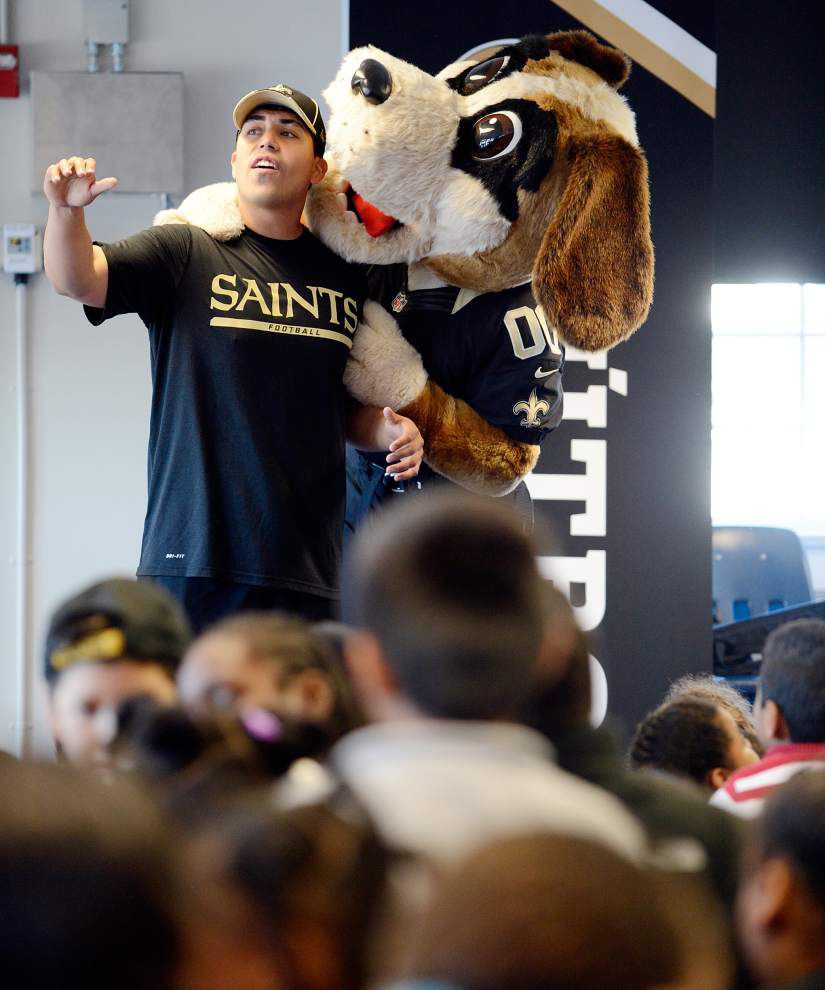 Gumbo the Saints dog mascot  New orleans saints, Mascot, Saints