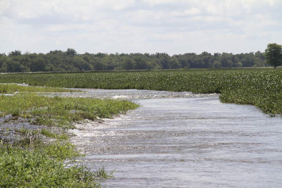 Farmers Beg For Assistance As Mississippi River Overtops Levee Near The ...