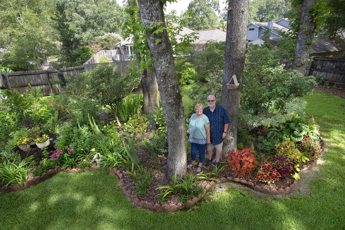 With A Lot Of Hard Work Pat And Richard Hollowell Transform Their