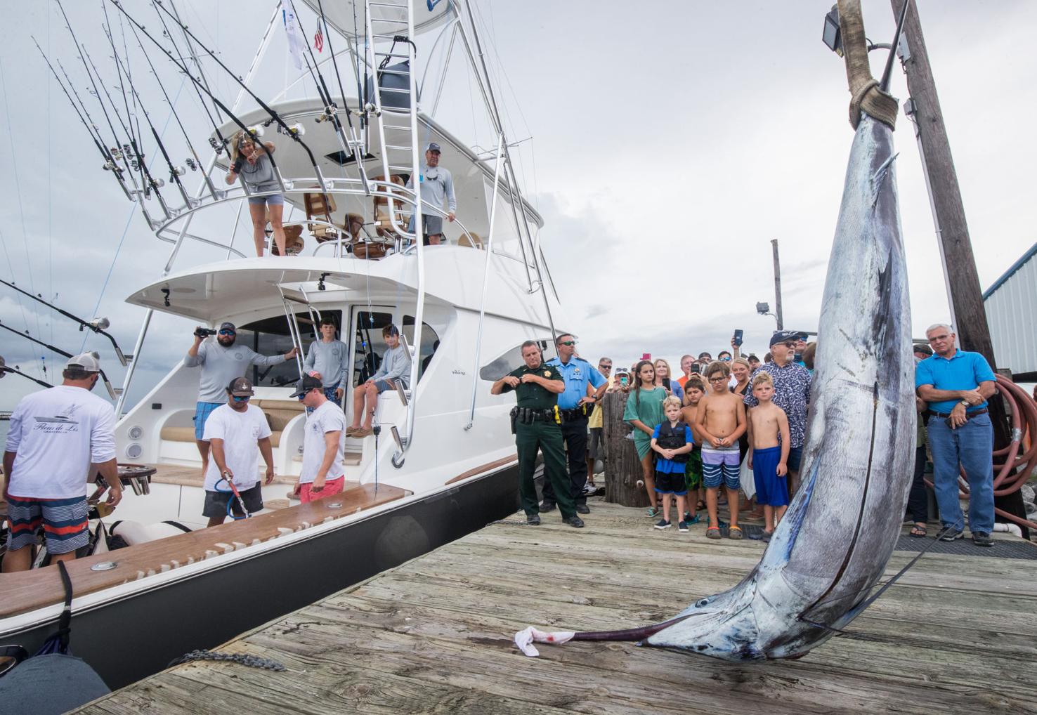 The granddaddy is back Grand Isle Tarpon Rodeo begins Thursday