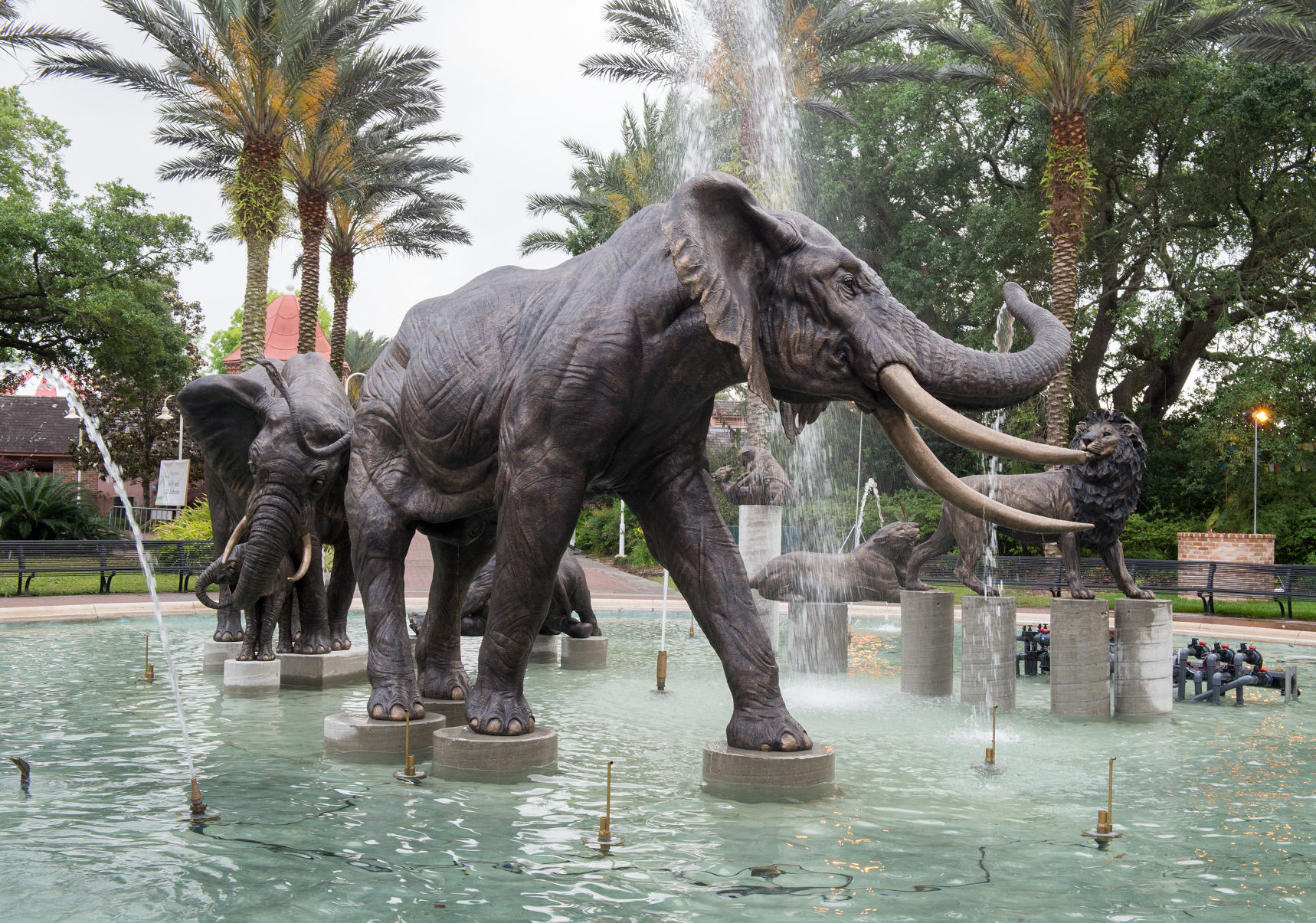 New Wildlife Statues Make A Splash At Audubon Zoo's Watering Hole ...