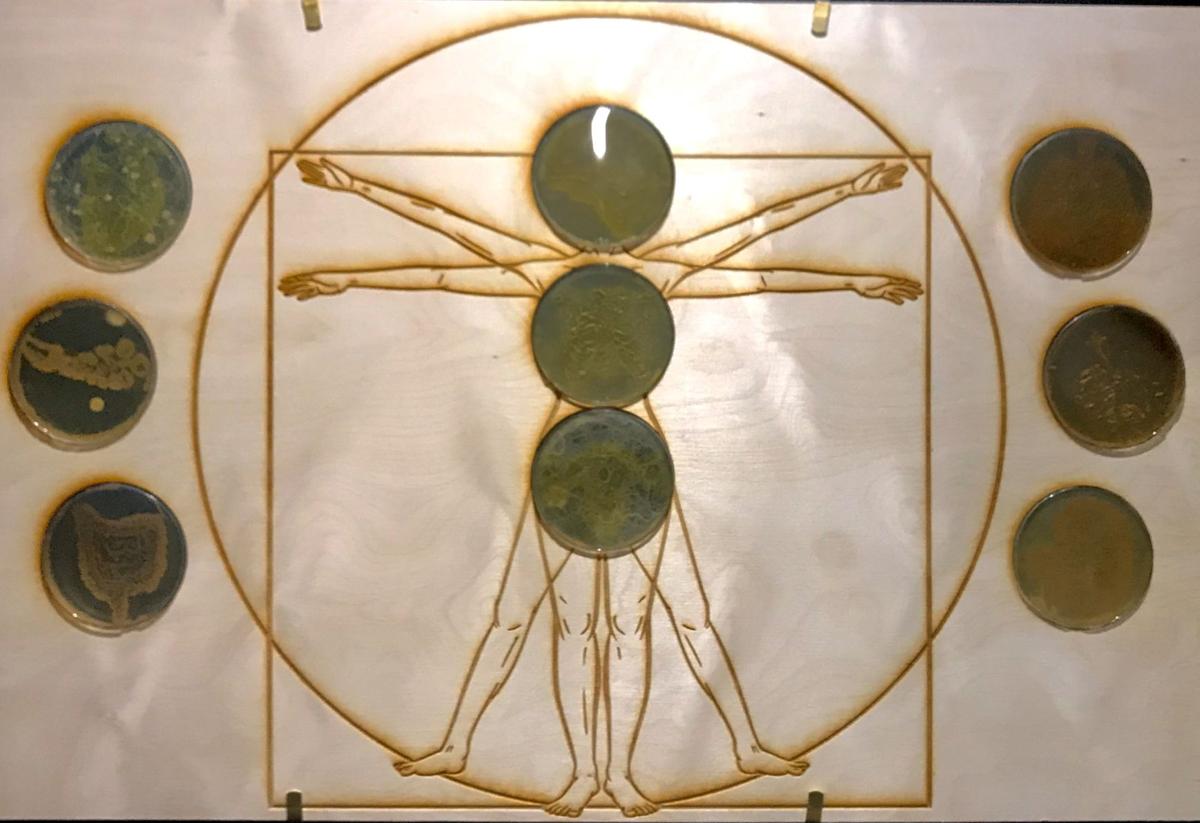 It Is Alive Meagan Moore Melds Art And Science By Painting With Live Bacteria Arts Theadvocate Com