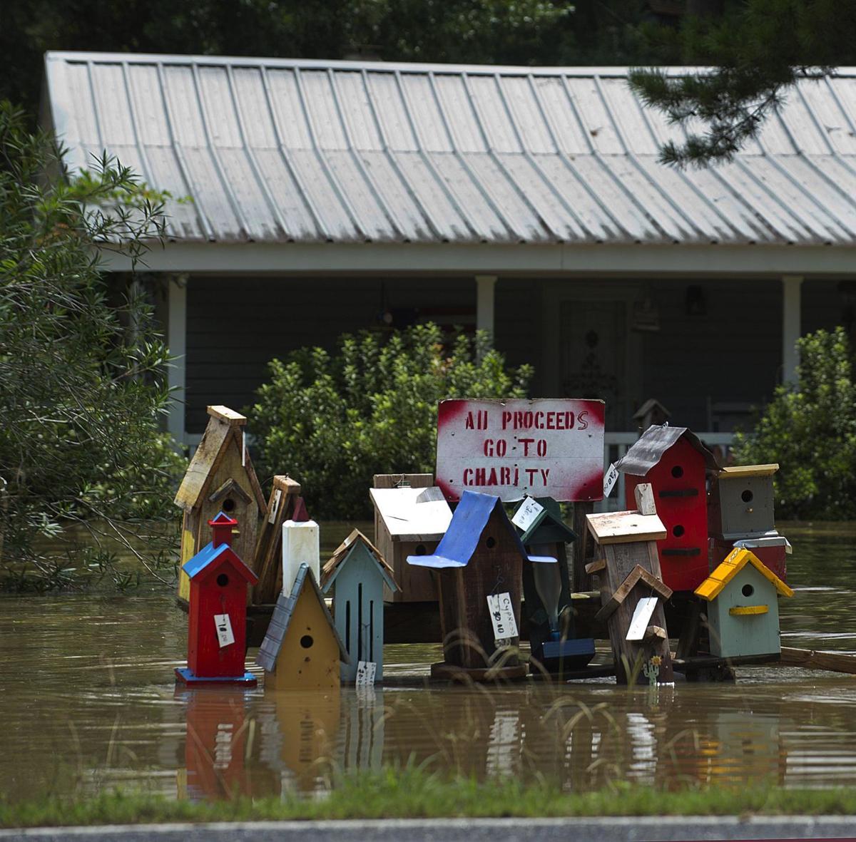 ASC.Flooding.081616 TS 1001.jpg