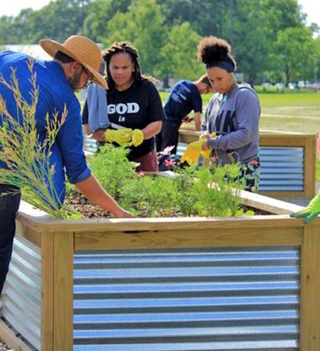 More than 80 gardening plots coming to affordable housing families ...