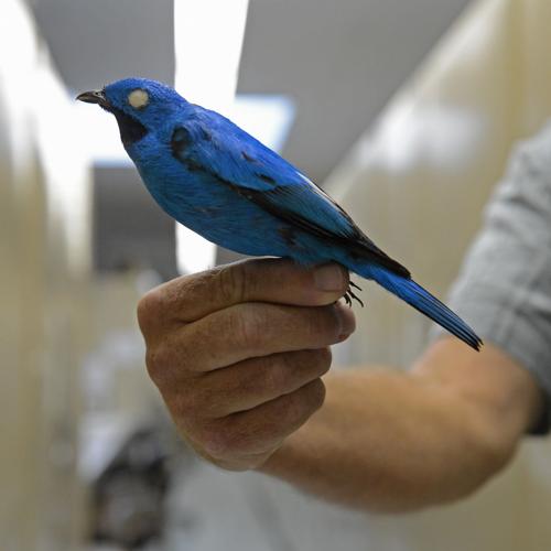 museumnightepl.adv HS 101.JPG