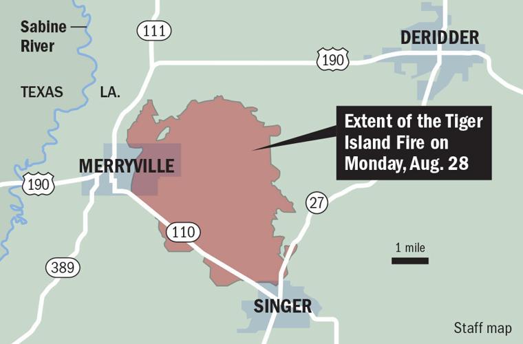 Tiger Island Fire was arson, Louisiana officials say News