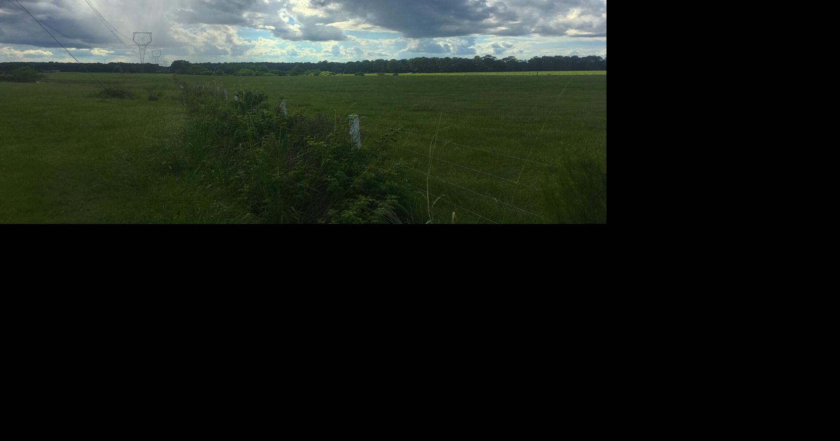 Tangipahoa leaders weigh local solar laws as Louisiana clashes over