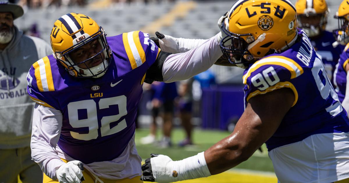 LSU has a priority in the spring transfer portal. Here’s how it's addressing the position.