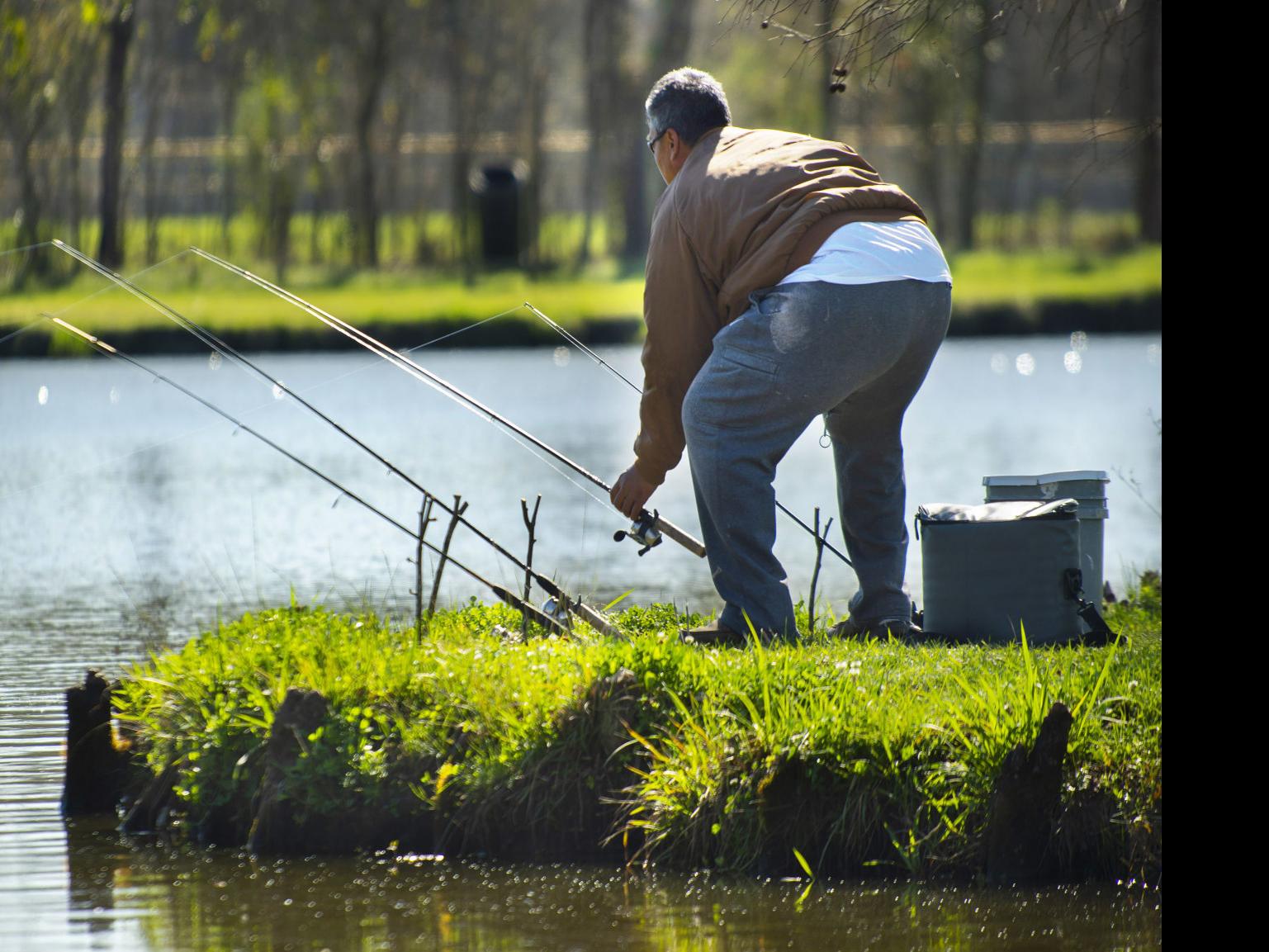 Rainbow Trout Stocked At Community Ponds Statewide Zachary Theadvocate Com