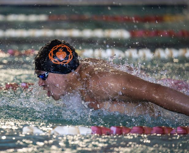 Catholic, St. Joseph's win titles at state swimming meet | High School ...