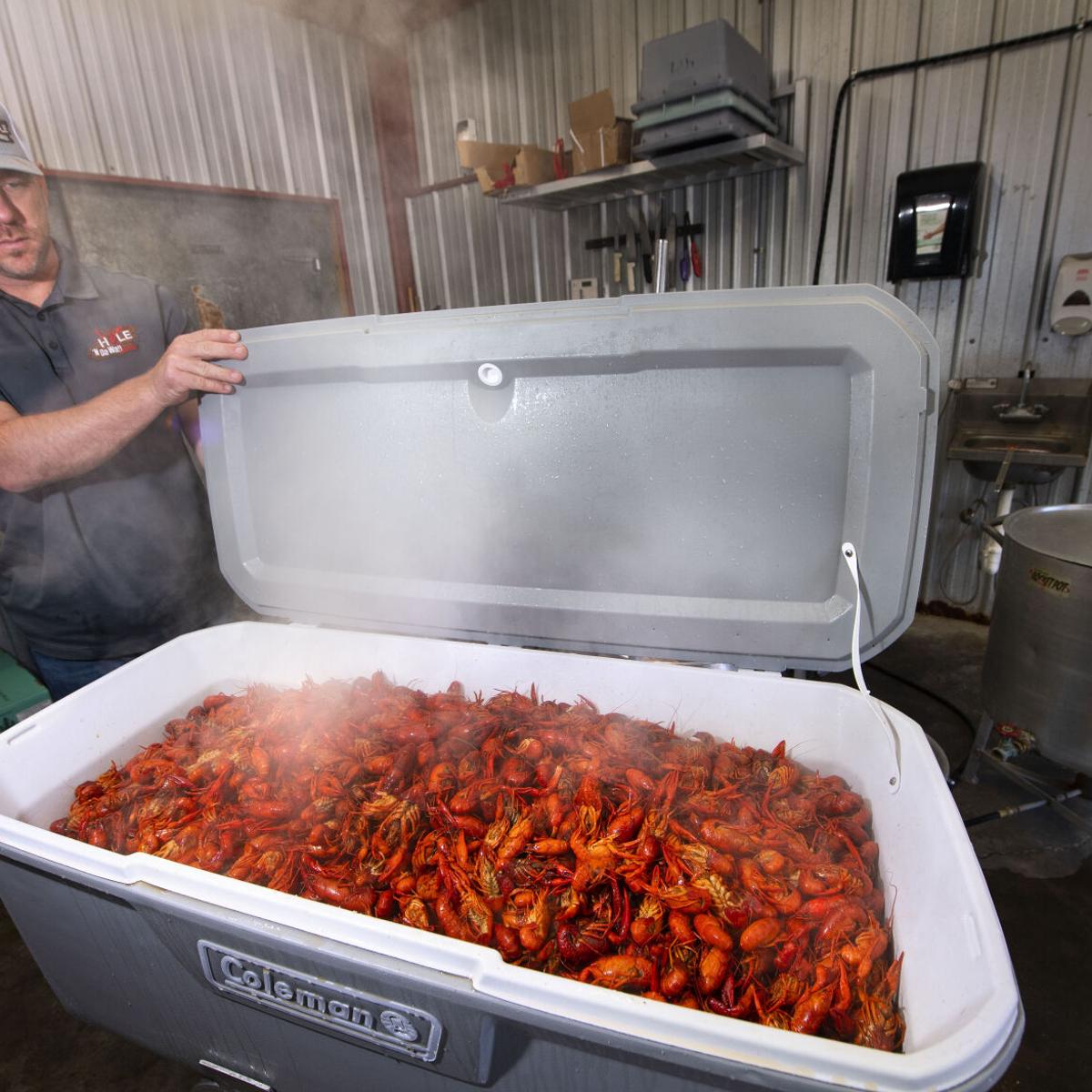 Crawfish prices drop in Louisiana as season heats up