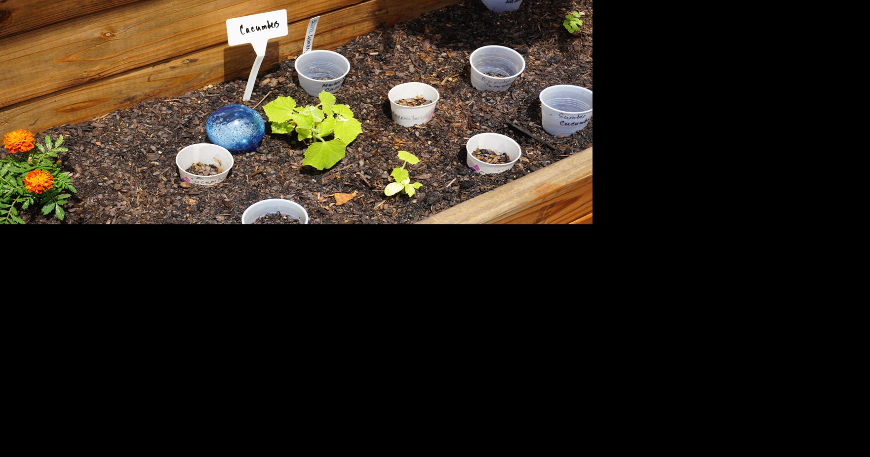 A community garden in north Baton Rouge is expanding food access while building community