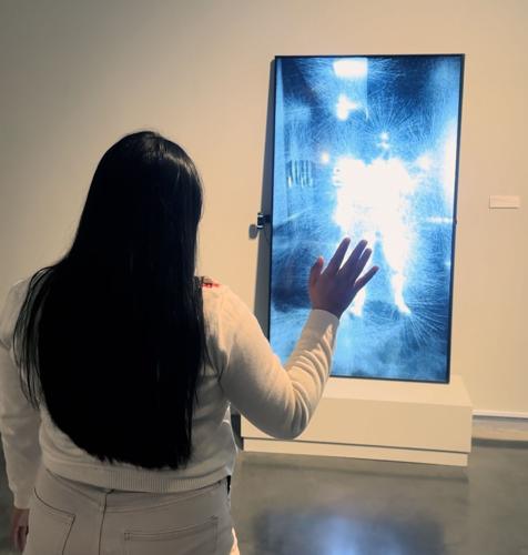 Daniel Rozin Studio LSU Museum of Art shows 'Mirror Mirror by Daniel Rozin' | Entertainment ...