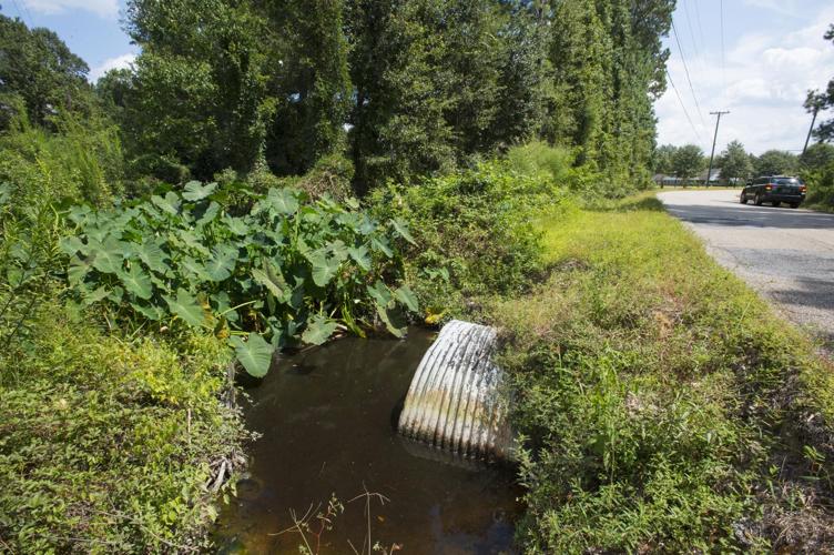 Hope still alive for gravity drainage tax in southeast Livingston