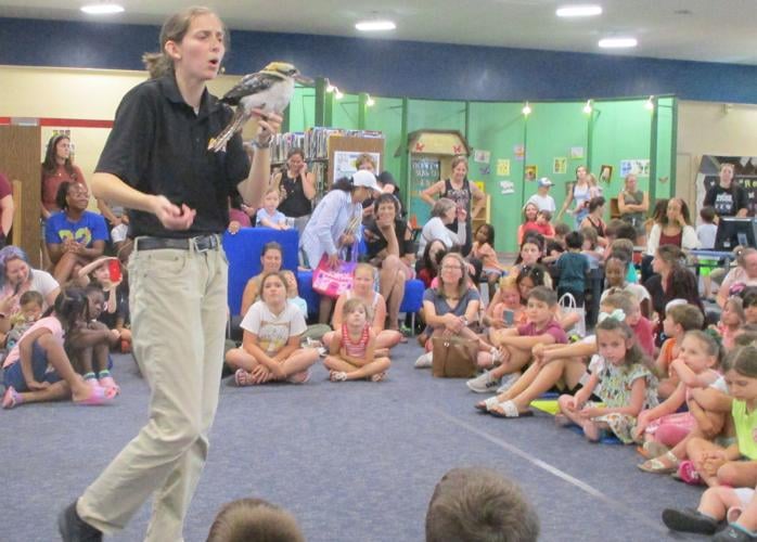 Animal Tales brings hedgehog boa and other critters to the Hammond