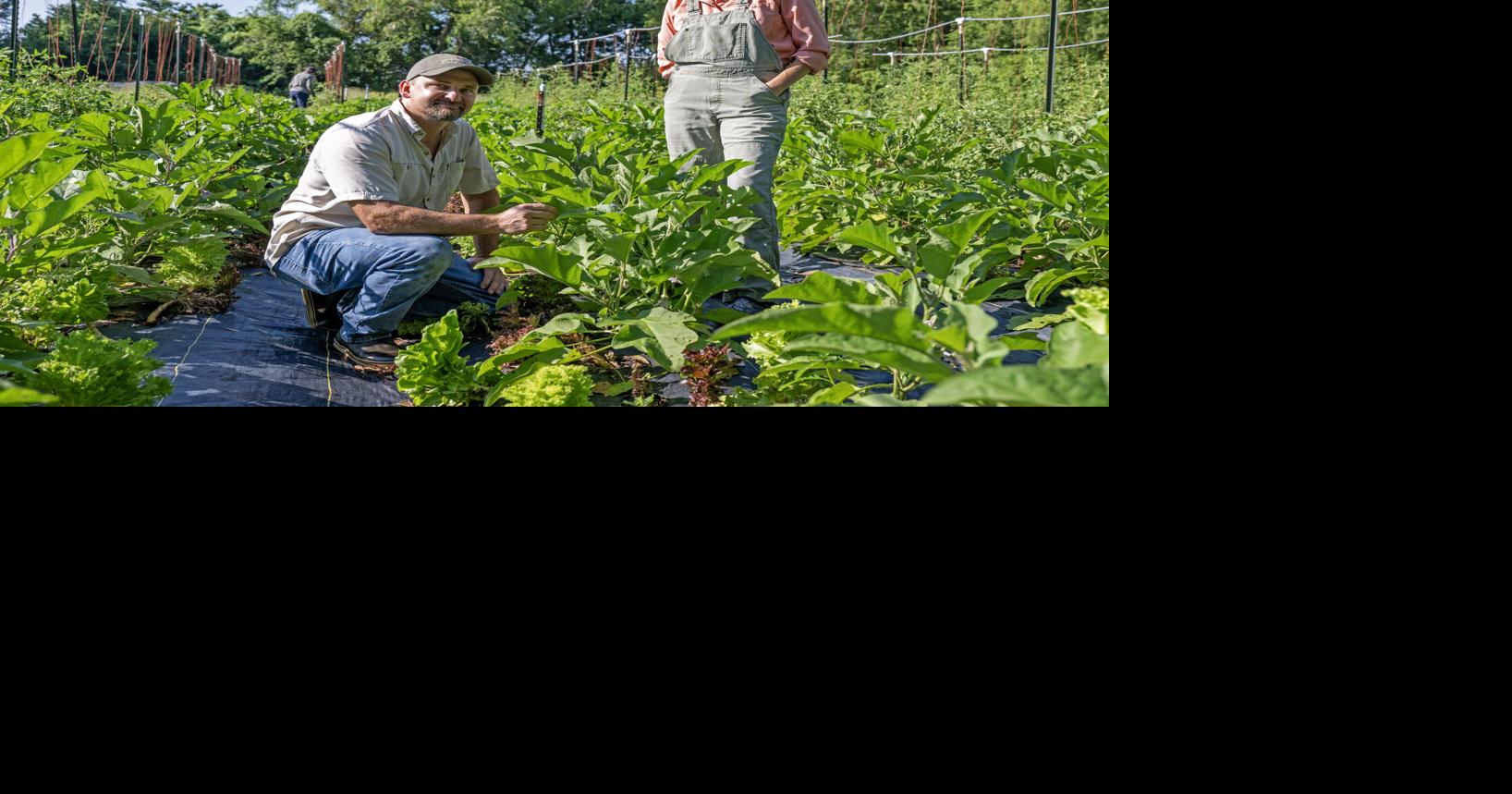 Baton Rouge micro-farm 'keeps pressing forward' after fire, provides at-home garden consults