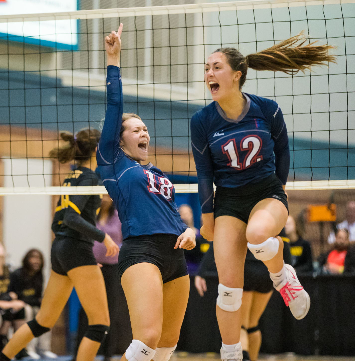 Division IV volleyball quarterfinals Parkview gets past U-High; Notre Dame upsets Dunham High School Sports theadvocate