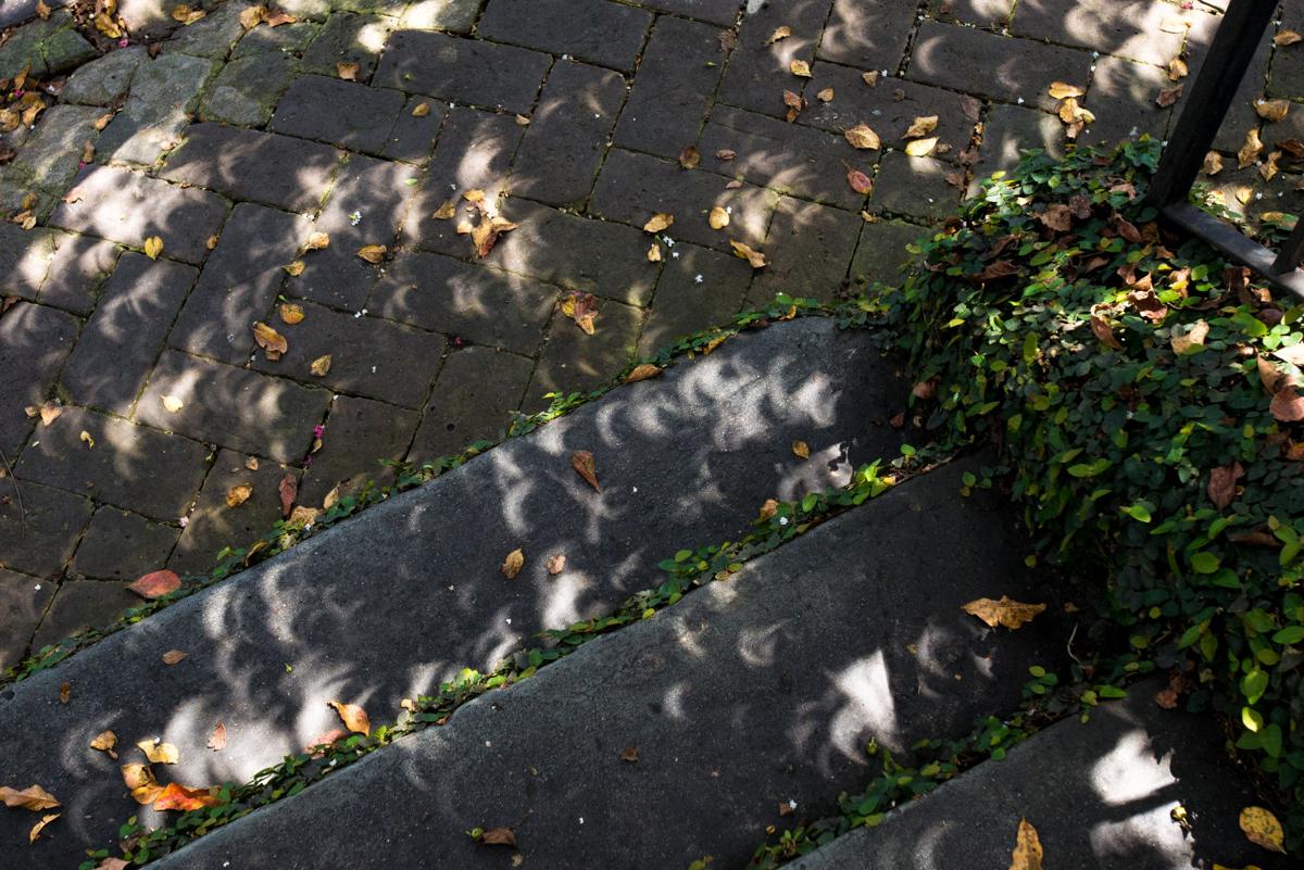 NO.eclipse.08