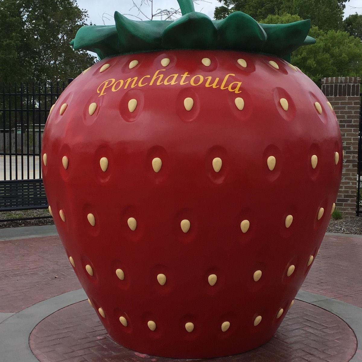 Ponchatoula Strawberry Festival Parade Canceled Amid Inclement