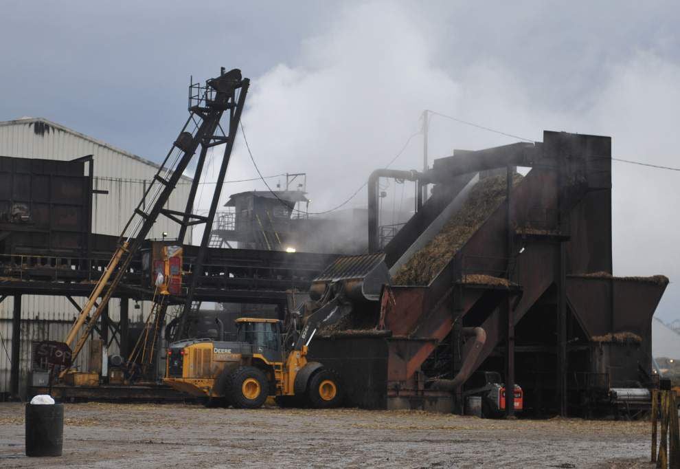 louisiana-s-sugar-cane-farmers-see-decent-yields-in-2015-despite