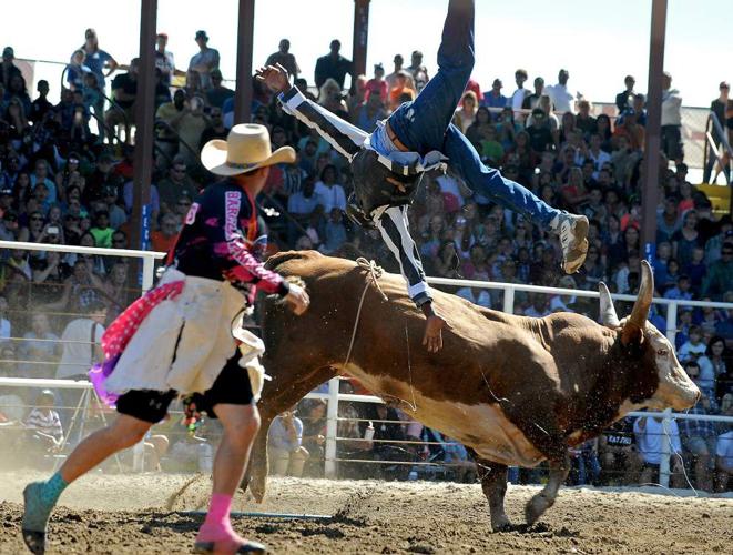 Photos: Dangerous cattle take on prisoners, prisoners show their rodeo ...