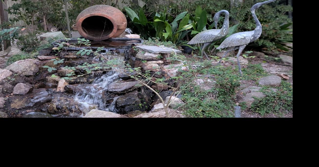 Delight in the natural wonders of South Louisiana with Garden of the Month winner Bonnie Cooper