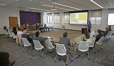NO.lsuboard.adv HS 011.JPG