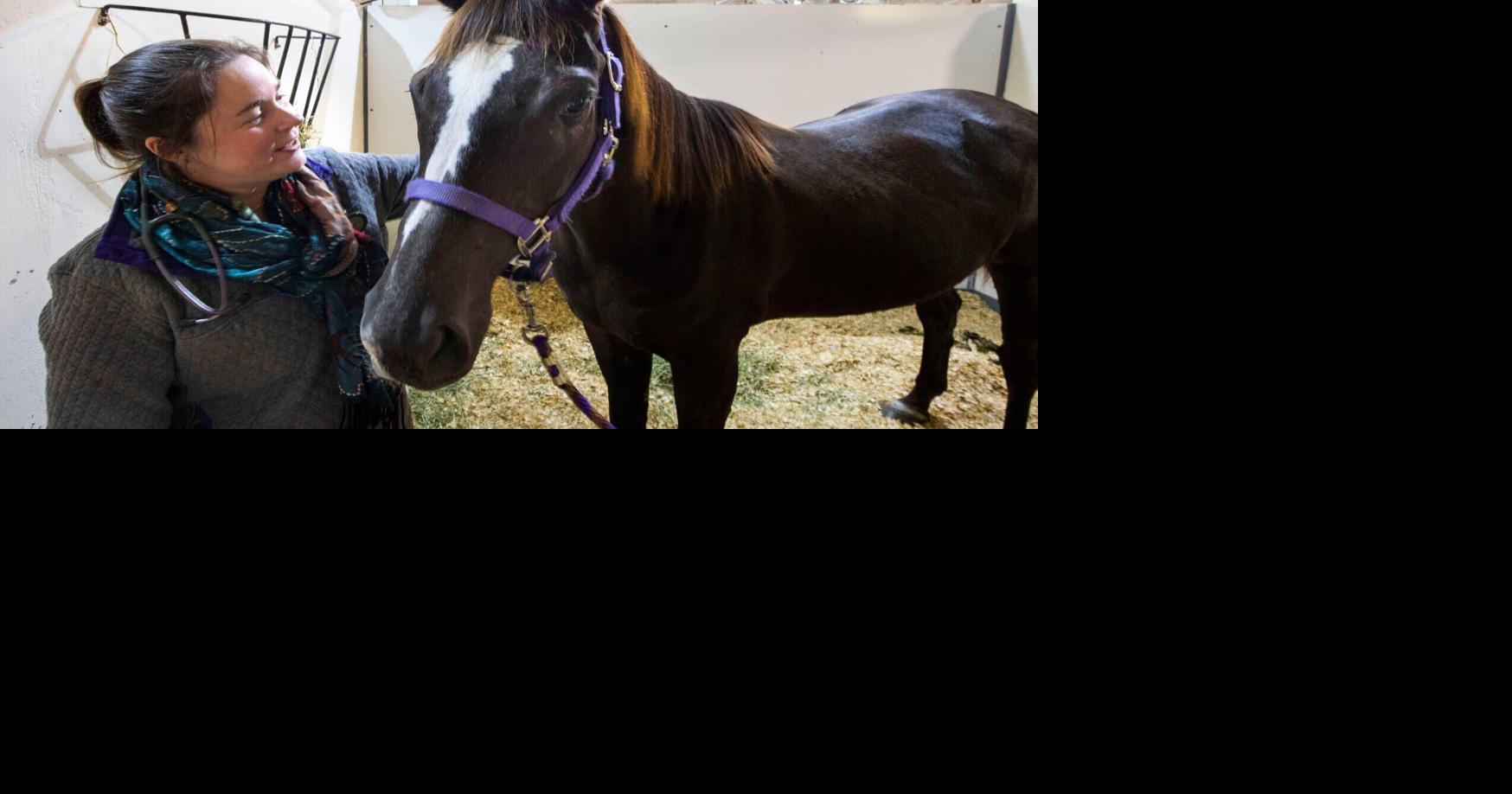 What was killing Louisiana horses? Mysterious outbreak led to hunt for clues