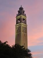 Richard Lipsey Baton Rouge (richard, lipsey, baton, rouge) Auditor: LSU may have violated state Constitution in handling of contract with private company