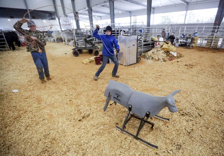 Tangipahoa 4H'ers and FFA members compete in district livestock show