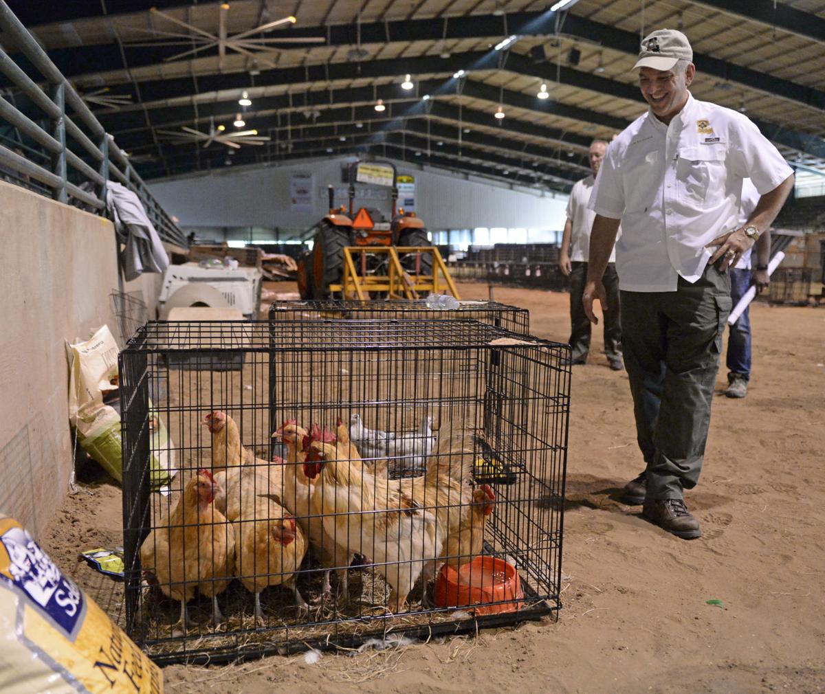 Open Doors Hundreds Of People Animals Of All Kinds Find