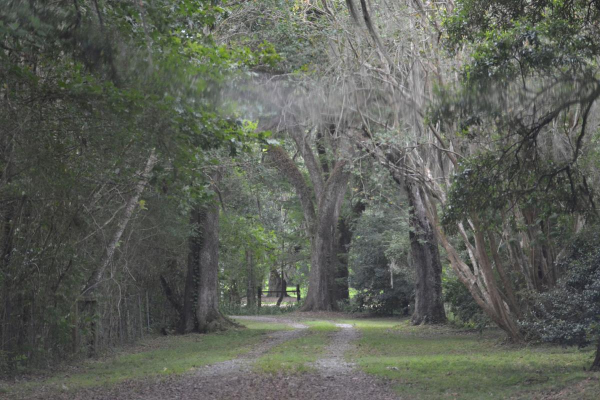 'Dead of Locust Grove' shines light on history of region