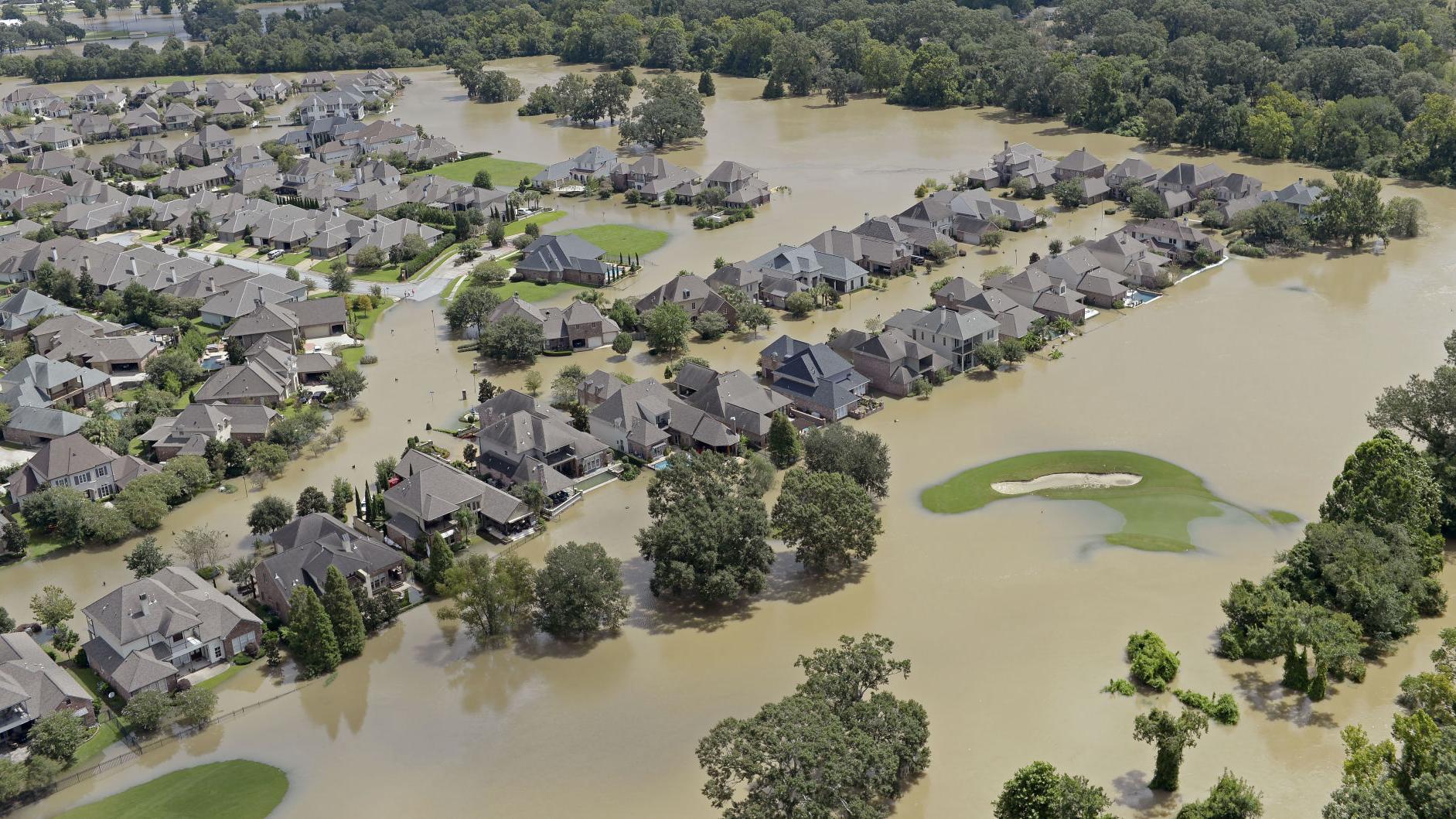 DWSD receives thousands of flood damage claims, hopes to get crews to homes  this week