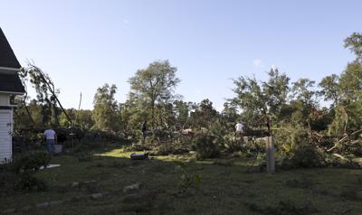 BR.sthelenaida.090121 15 mw.JPG