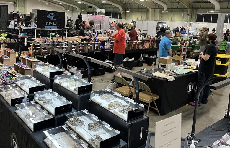 Snakes, lizards, tortoises were stars at Gonzales reptile show ...