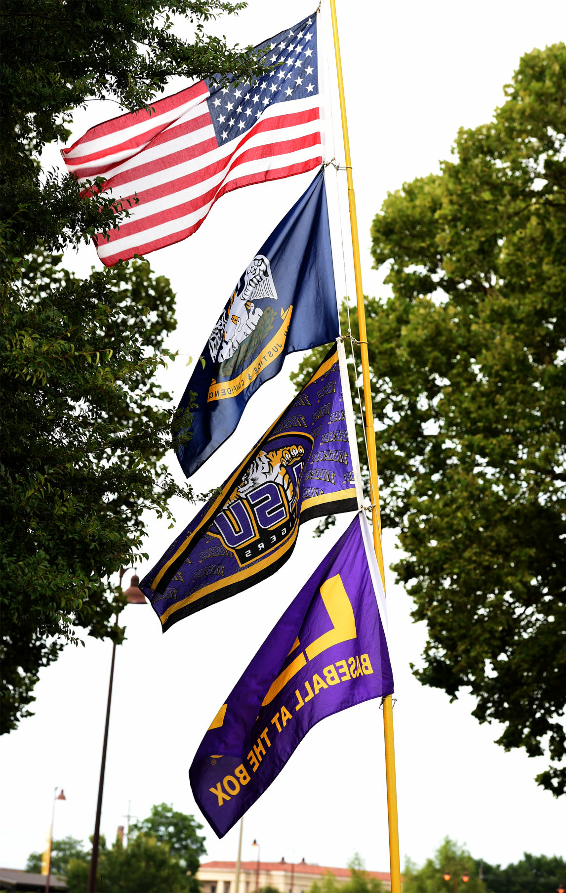 lsumissstate.061217029.jpg