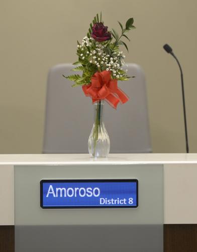 br.councilamoroso.adv HS 0189.JPG