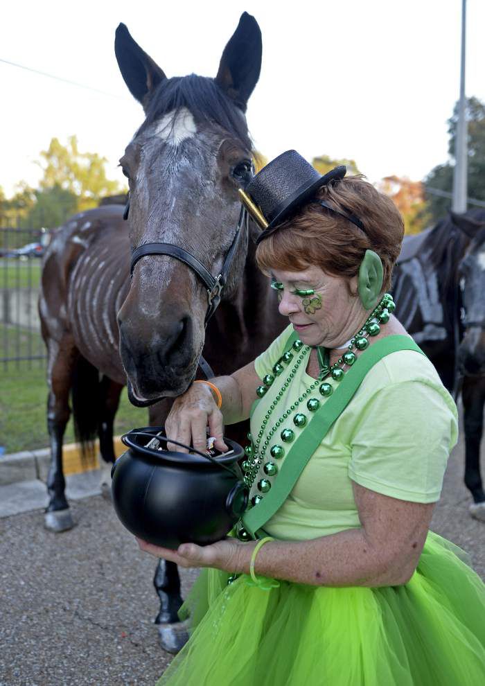 Mid City community photo gallery for Nov. 5, 2015 _lowres