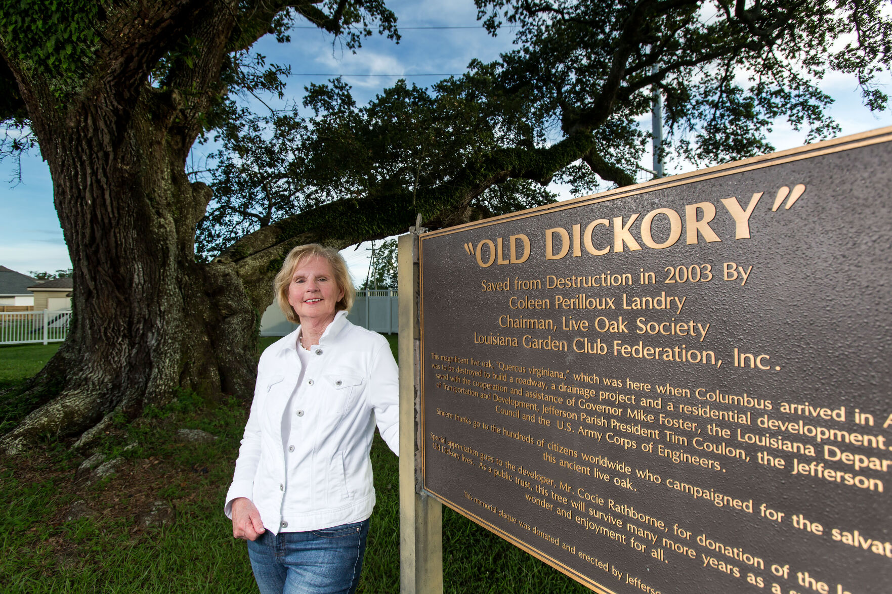 Long live the trees: The Live Oak Society is protecting