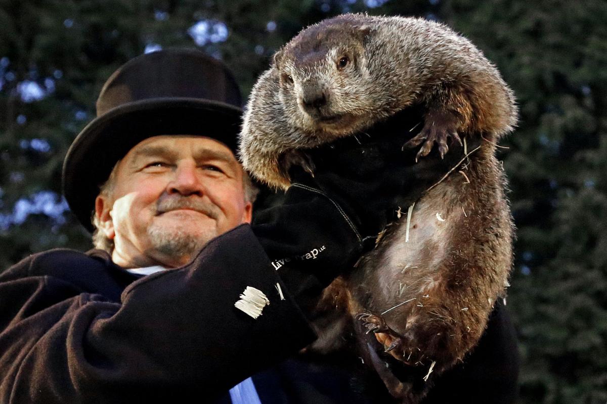 Punxsutawney Phil, Louisiana's Pierre C. Shadeaux have some disagreements on Groundhog Day