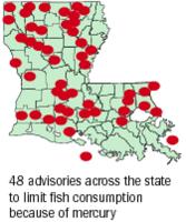 Regulators revive program to test mercury levels of fish caught in Louisiana waters