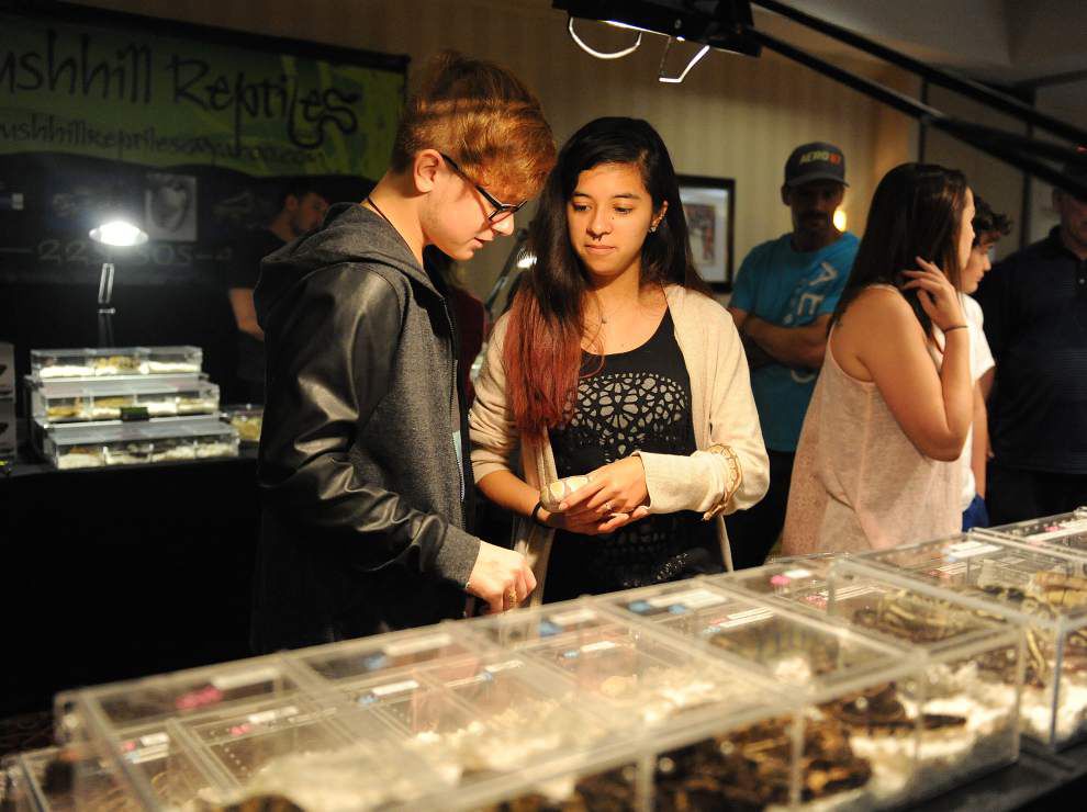 Photos: Snakes, turtles, lizards take center stage at ReptiDay in Lafayette _lowres