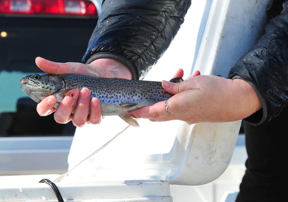 Rainbow Trout Stocked At Community Ponds Statewide Livingston Tangipahoa Theadvocate Com