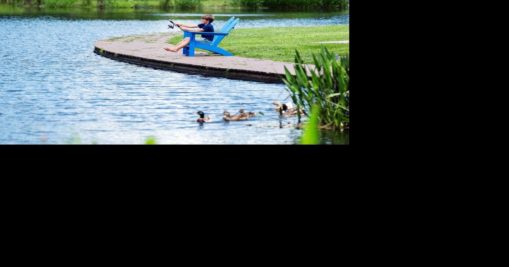 Drei Parks in Louisiana wurden zu den besten „grünen Ausflugszielen“ in ...