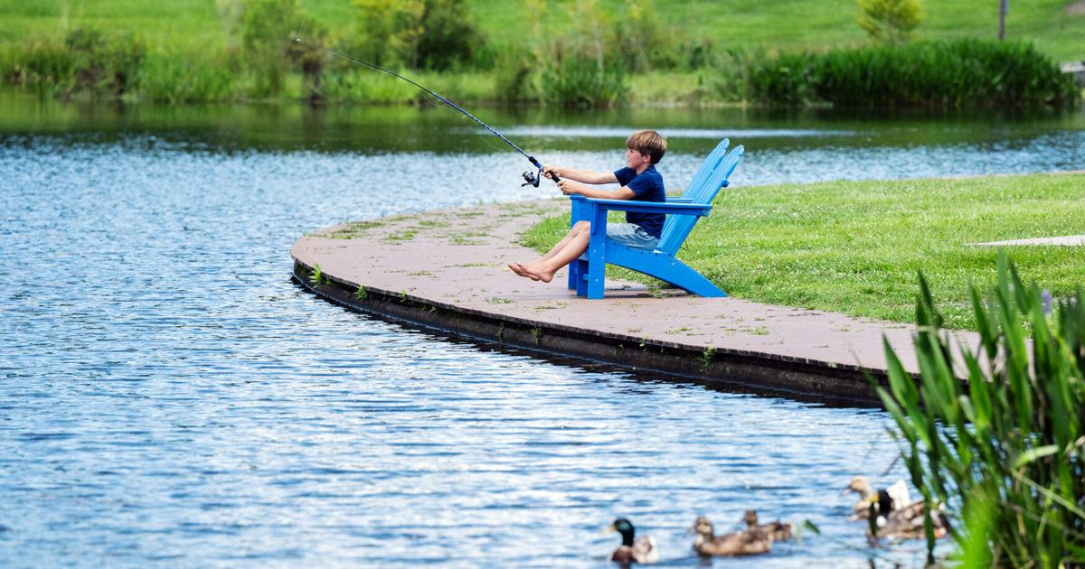 Drei Parks in Louisiana wurden zu den besten „grünen Ausflugszielen“ in ...